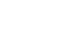Surepoint Logo PNG white